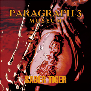 PARAGRAPH 3 - MUSEUM